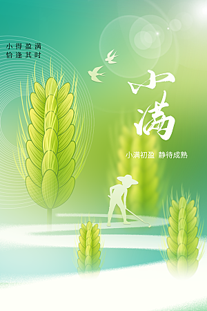 小满节气传统海报