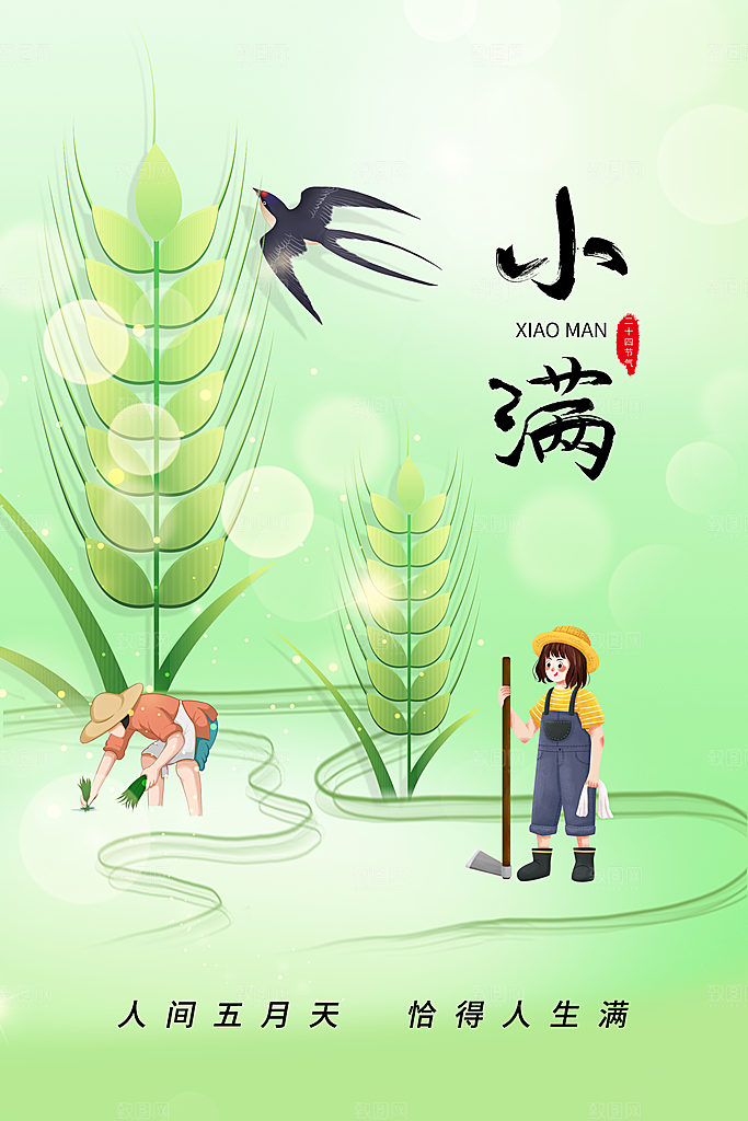 小满节气传统海报