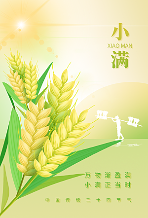 小满节气传统海报