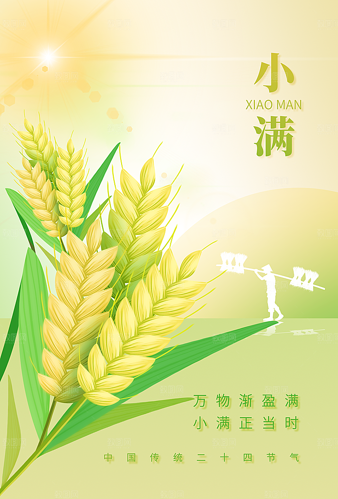 小满节气传统海报