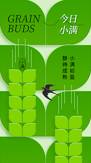 小满节气传统海报