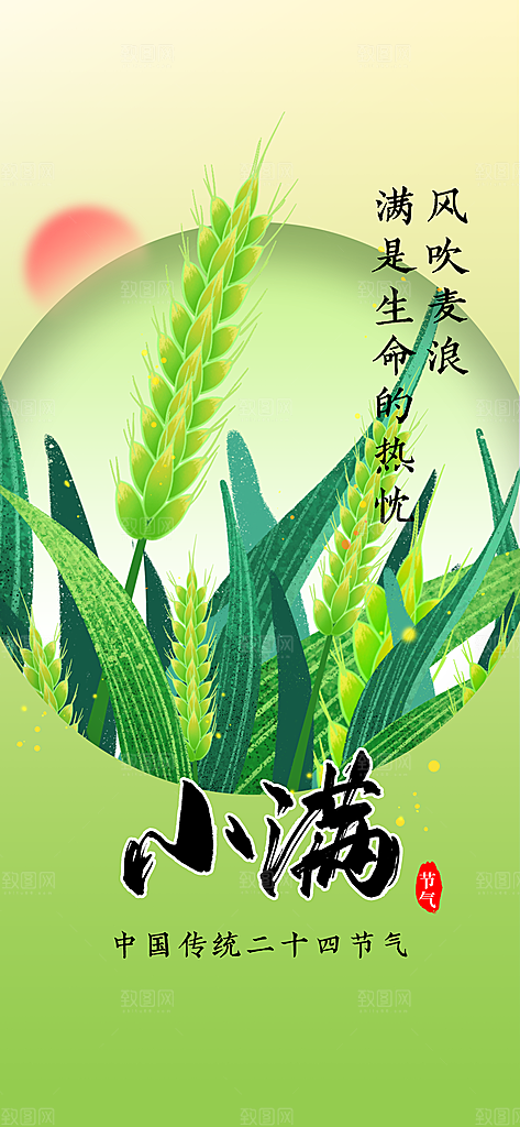 小满节气传统海报