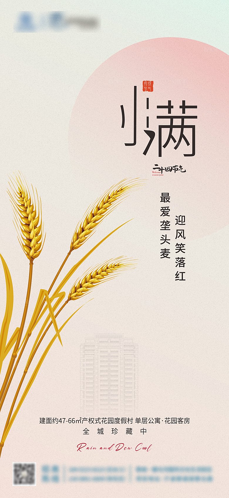 地产节气小满海报