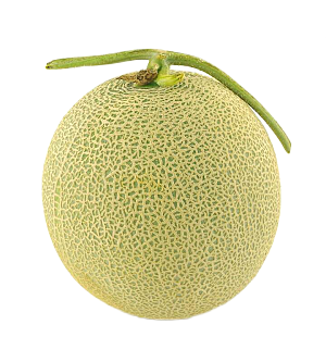 水果哈密瓜透明底png