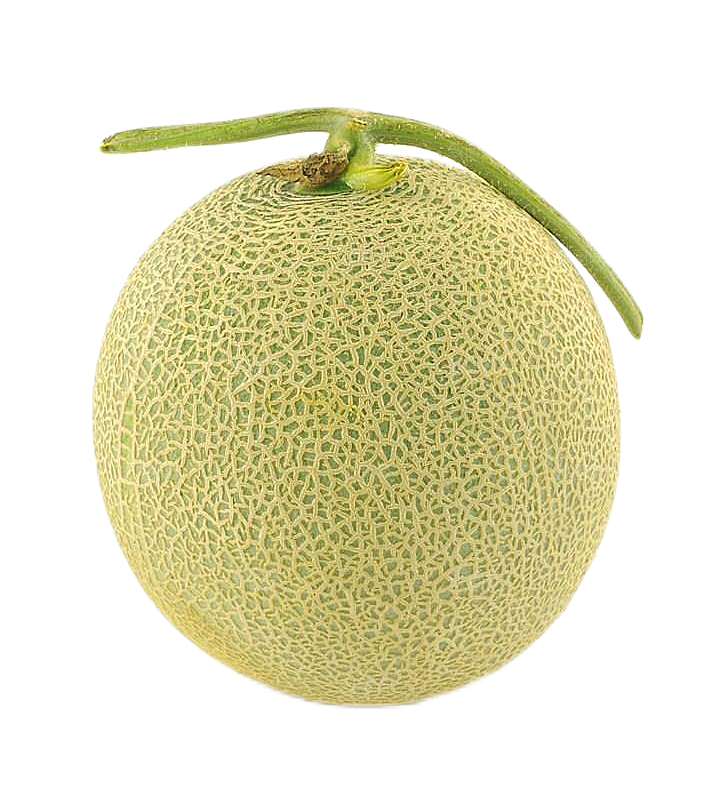 水果哈密瓜透明底png