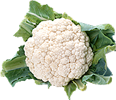 蔬菜花菜透明底png