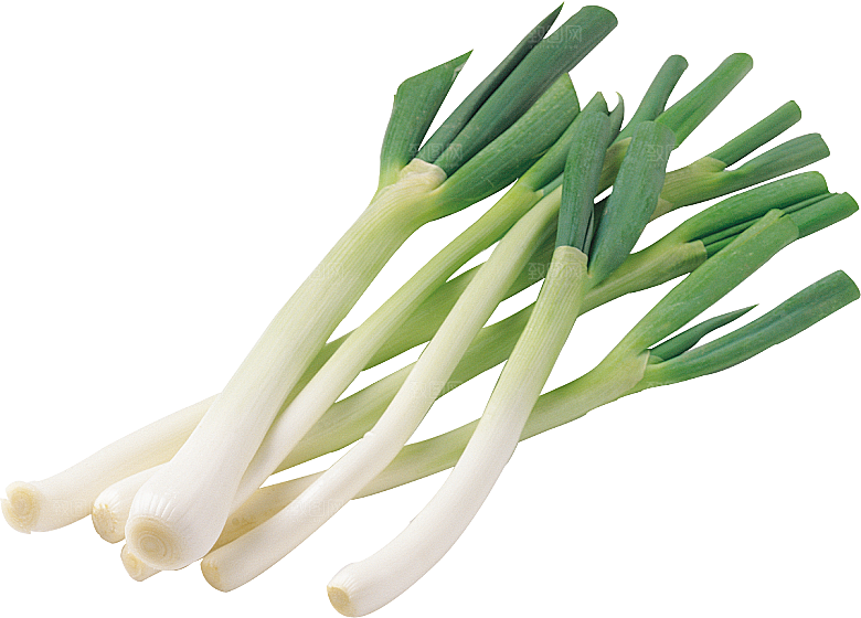 蔬菜大葱透明底png