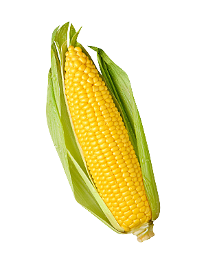玉米透明底png
