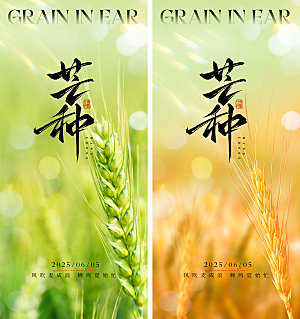 芒种地产二十四节气海报