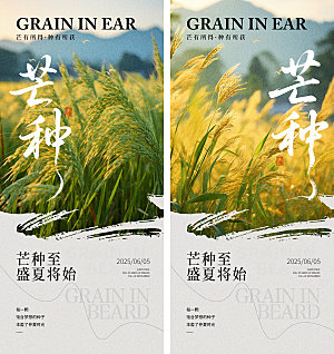 芒种时节节气海报