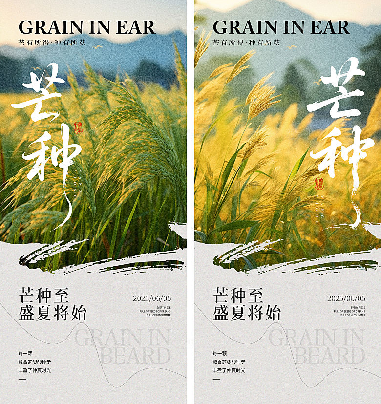 芒种时节节气海报
