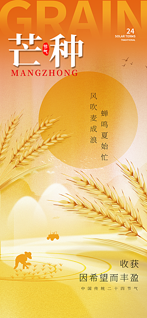芒种时节夏季六月你好夏日24节气海报