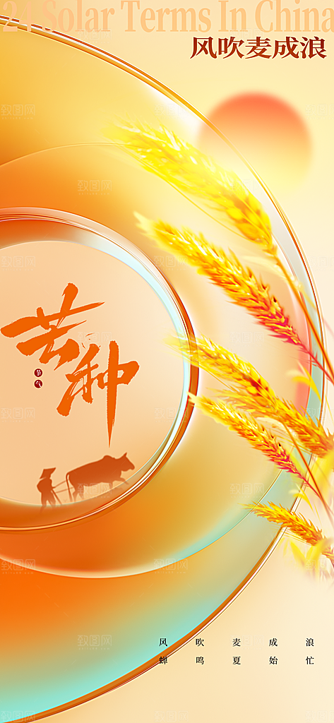 芒种时节夏季六月你好夏日24节气海报