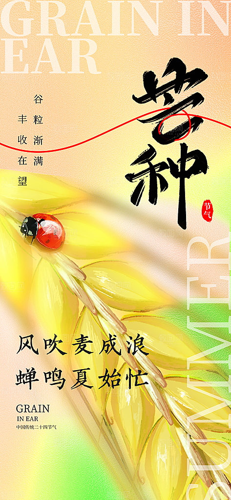 芒种时节夏季六月你好夏日24节气海报