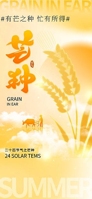 芒种时节夏季六月你好夏日24节气海报