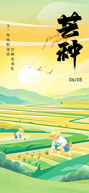 芒种时节夏季六月你好夏日24节气海报