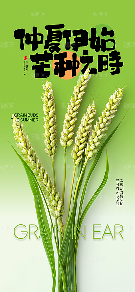 芒种时节夏季六月你好夏日24节气海报