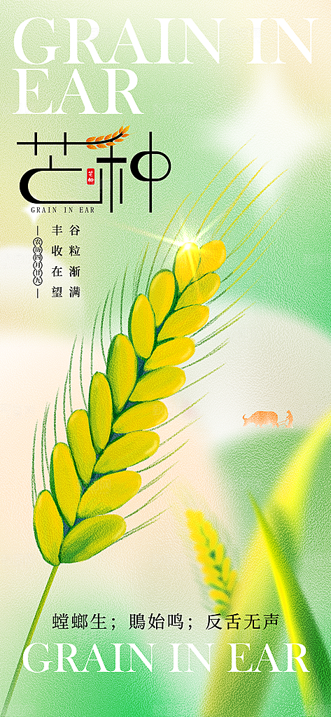 芒种时节夏季六月你好夏日24节气海报