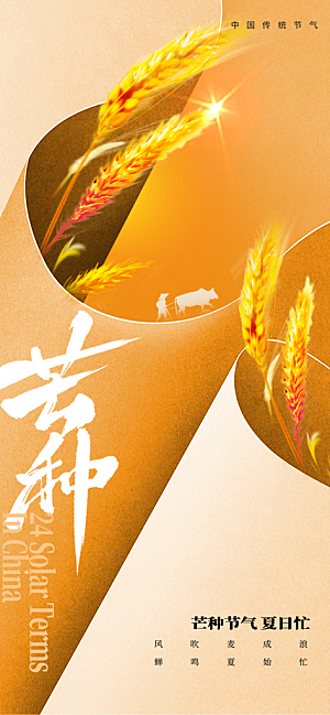 芒种时节夏季六月你好夏日24节气海报
