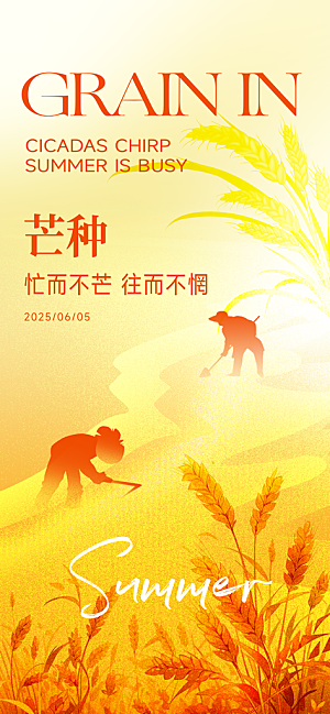 芒种时节夏季六月你好夏日24节气海报