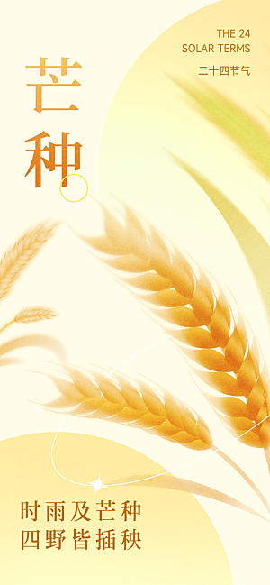 芒种时节夏季六月你好夏日24节气海报