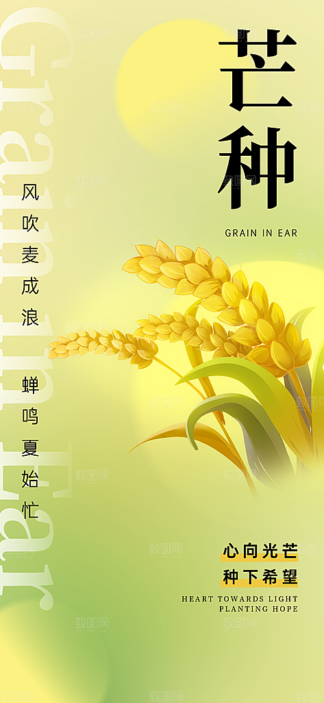 芒种时节夏季六月你好夏日24节气海报