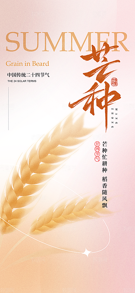 芒种时节夏季六月你好夏日24节气海报