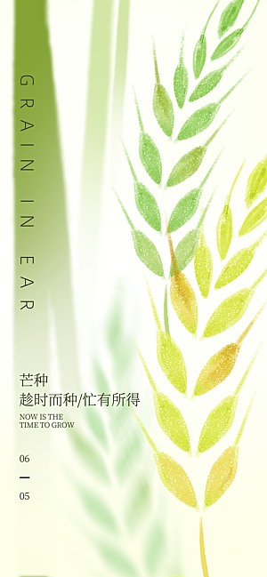 芒种时节夏季六月你好夏日24节气海报