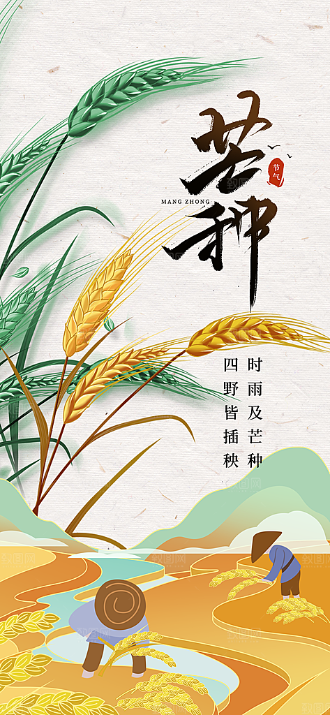芒种时节夏季六月你好夏日24节气海报