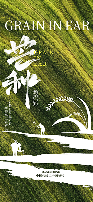 芒种时节夏季六月你好夏日24节气海报