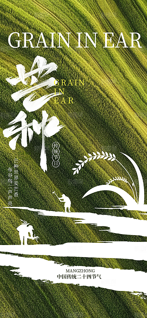 芒种时节夏季六月你好夏日24节气海报