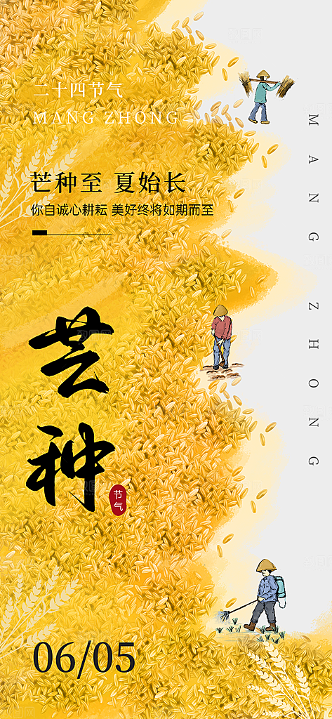 芒种时节夏季六月你好夏日24节气海报