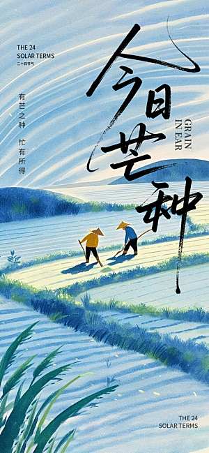 芒种时节夏季六月你好夏日24节气海报