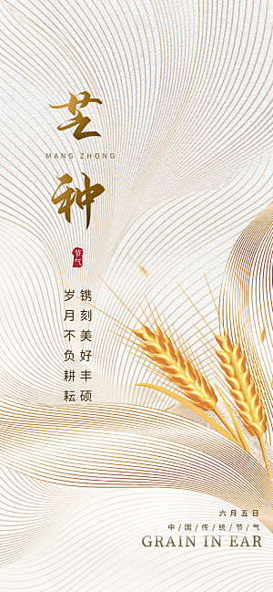 芒种时节夏季六月你好夏日24节气海报