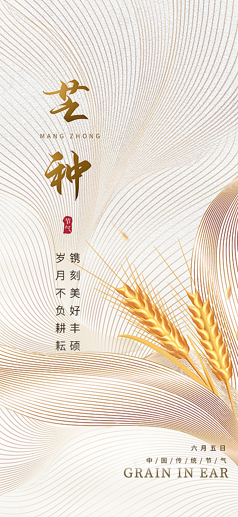 芒种时节夏季六月你好夏日24节气海报