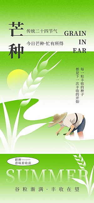 芒种时节夏季六月你好夏日24节气海报