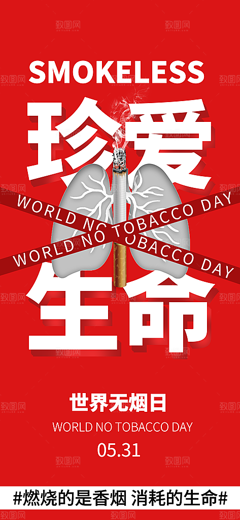 世界无烟日禁止吸烟拒绝二手烟健康海报