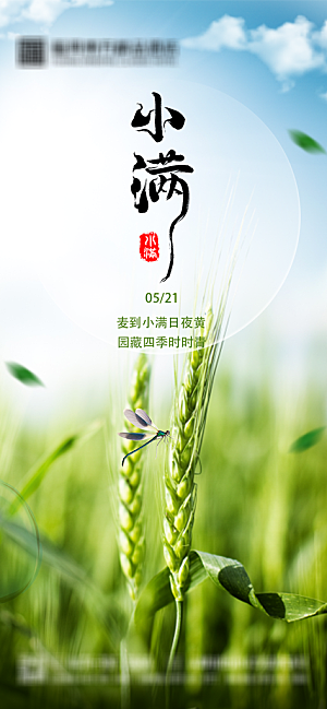 小满节气宣传海报
