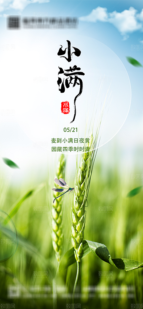 小满节气宣传海报