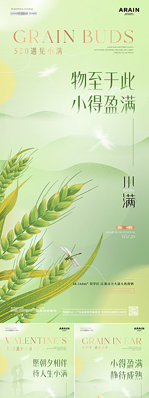 简约大气小满节气海报