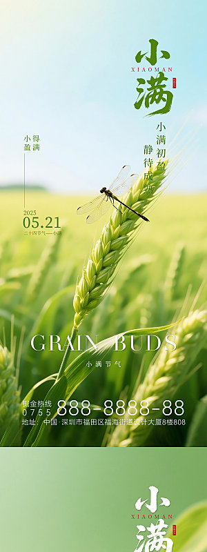 简约大气小满节气海报