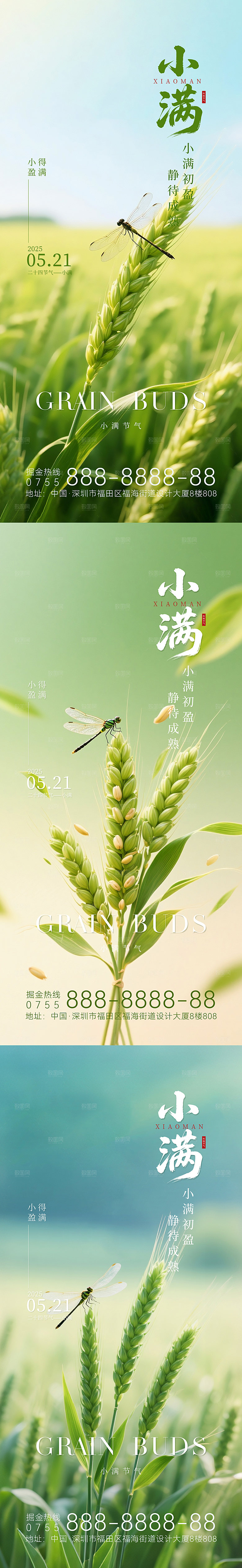 简约大气小满节气海报