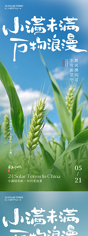 简约大气小满节气海报