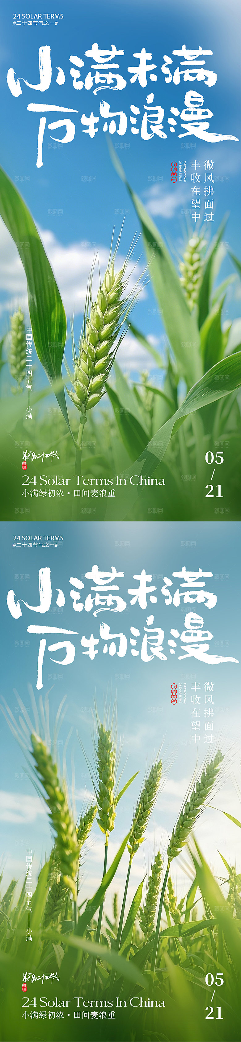 简约大气小满节气海报