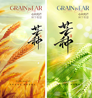 芒种二十四节气地产海报