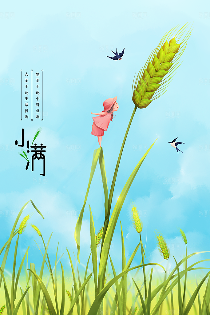 小满节气传统海报
