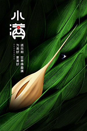小满节气传统海报