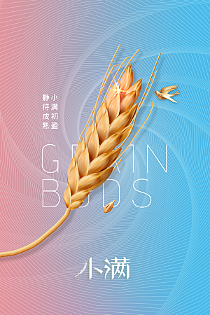 小满节气传统海报