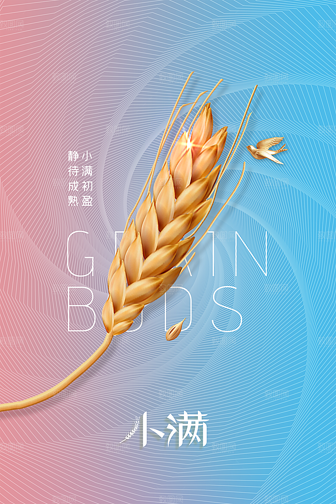 小满节气传统海报