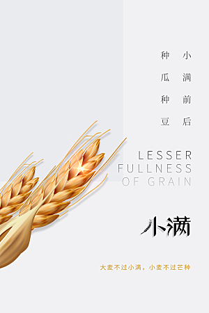 小满节气传统海报